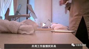 国产宾馆视频在线播放,在线观看，揭秘真实住宿体验