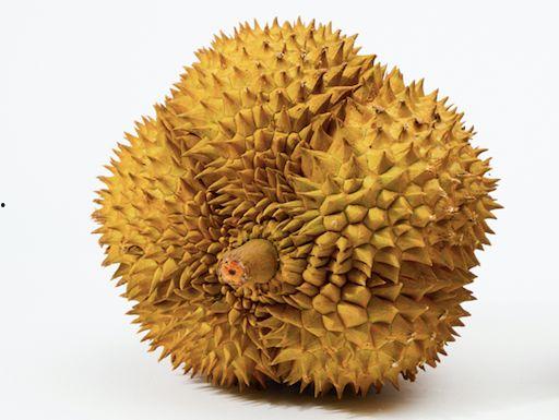 国产黑刺榴莲开果视频,惊艳呈现大自然的神奇魅力