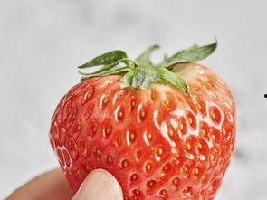 国产香草莓视频,甜蜜滋味，国产之光